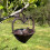 Selections Vintage Hanging Bird Seed Feeder Cast Iron Heart Shape 4