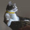 (Orange) Dog Collar Expellent 3