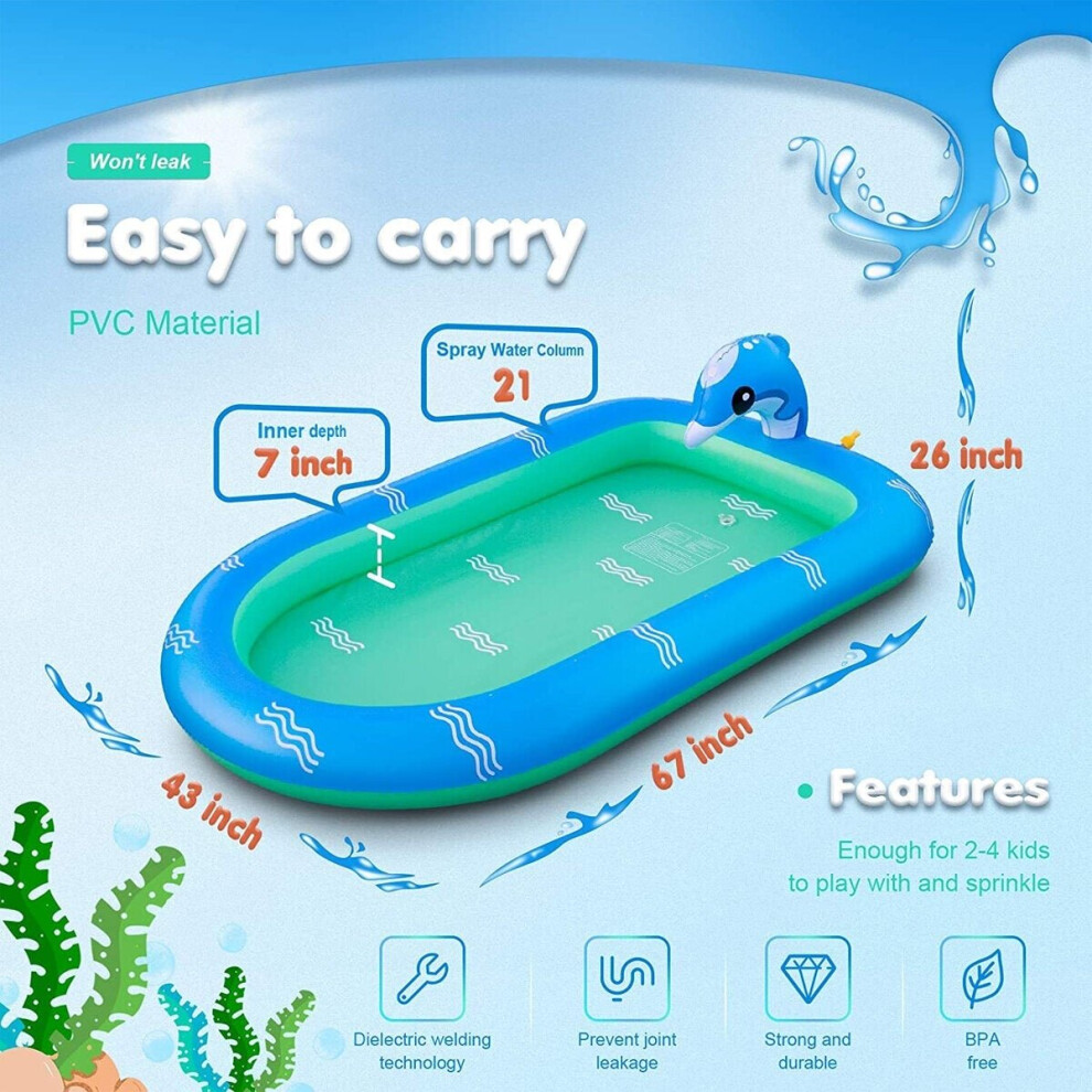 (110*70cm) Dolphin Inflatable Water Jet Game Pool Lawn Game Pool