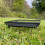 Selections Metal Ground Bird Feeder Seed & Nut Tray 3