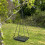 Selections Hanging Metal Bird Seed & Nut Feeder Tray 2