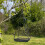 Selections Hanging Metal Bird Seed & Nut Feeder Tray 3