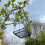 Selections Hanging Metal Bird Seed & Nut Feeder Tray 4