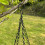Selections Hanging Metal Bird Seed & Nut Feeder Tray 6