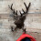 Selections Cast Iron Stag Head Wall Coat Hook Rack 2