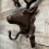 Selections Cast Iron Stag Head Wall Coat Hook Rack 3