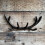 Selections Cast Iron Antler Wall Hook Rack 4