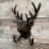 Selections Cast Iron Stag Head Wall Coat Hook Rack 5
