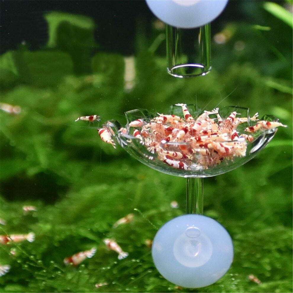 (28cm) 20-35cm Aquarium Fish Tank Shrimp Food Feeder Glass Feeding Tube Dish Suction Fish Feeder