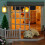 Queens Town DIY Miniature Model With Light Music Collection Gift 8