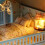 Queens Town DIY Miniature Model With Light Music Collection Gift 9