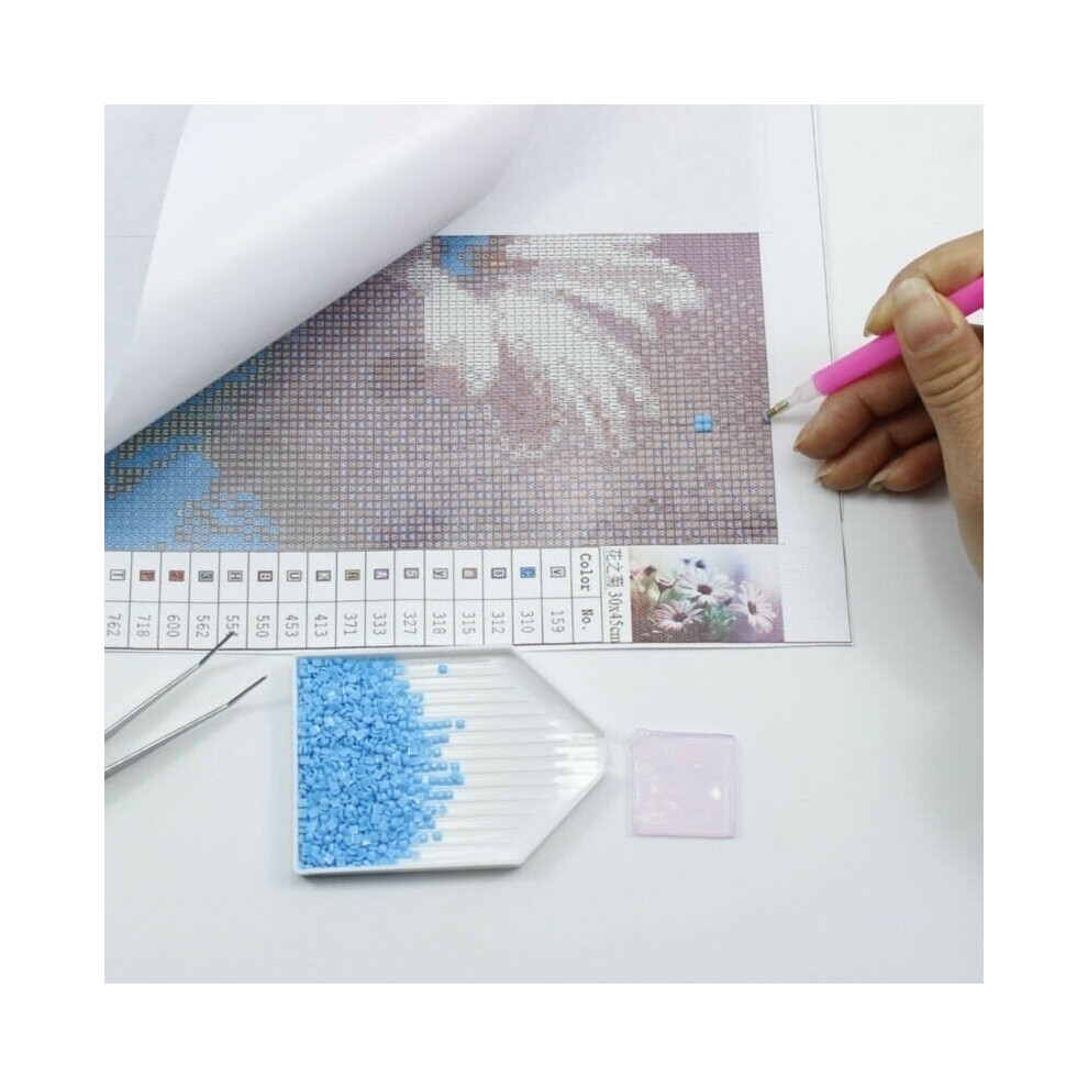 (30*30cm) Diamond Painting Cross Stitch 5D DIY 3D Embroidery Pattern kit Mosaics Home Decor Stickers