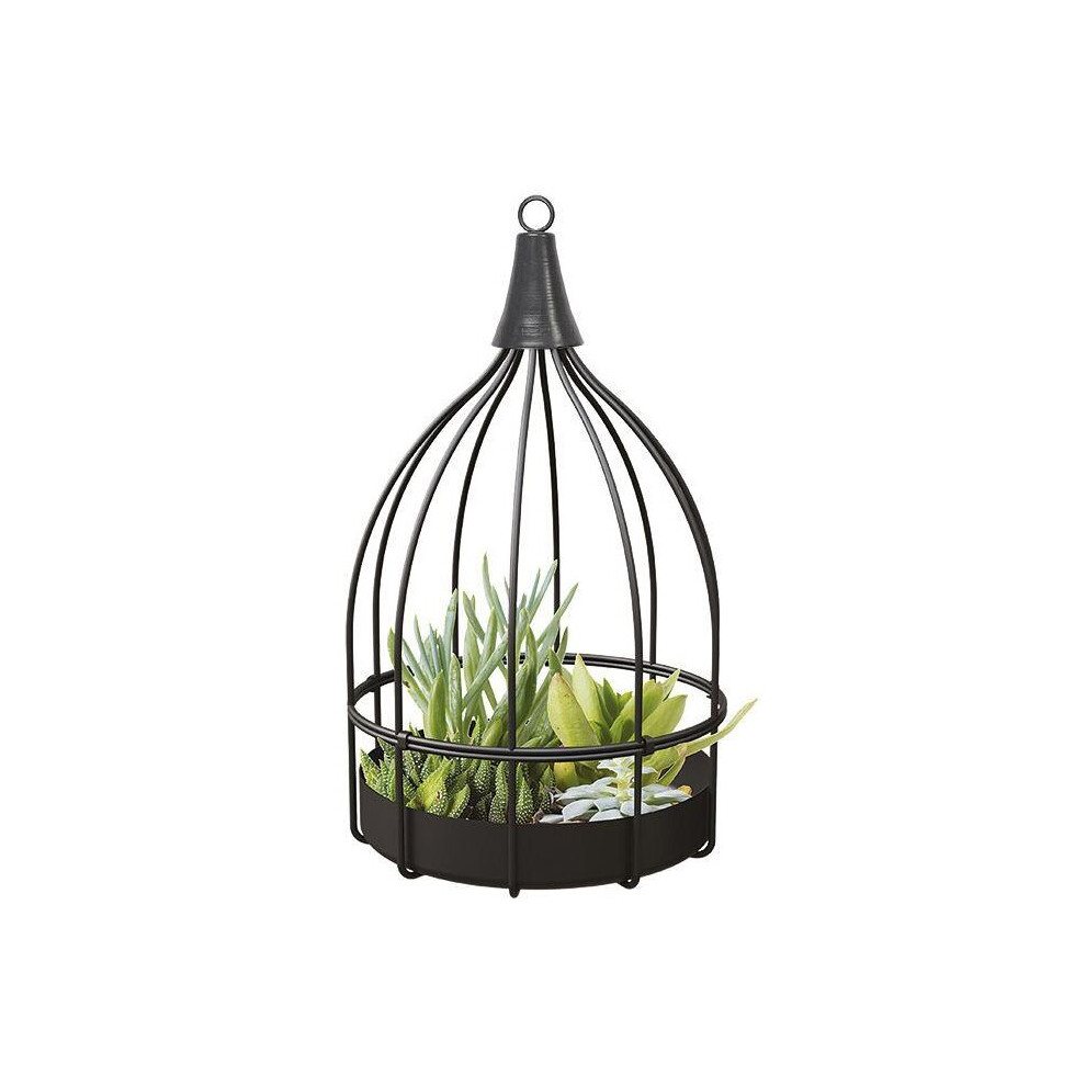 Bird Cage Succulent Planter Black