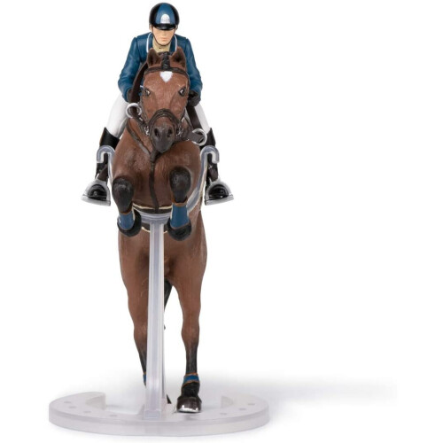 Cavallo da salto ostacoli e il suo cavaliere 2