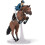 Cavallo da salto ostacoli e il suo cavaliere 4