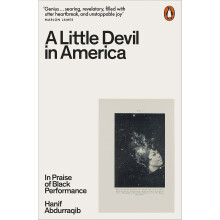 Little Devil in America, A: In Praise of Black Performance