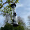 Selections Large Hanging Bird Seed Feeders (Set of 2) 4