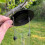 Selections Large Hanging Bird Seed Feeders (Set of 2) 5