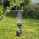 Selections Large Hanging Bird Seed Feeders (Set of 2) 3