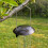 Selections Hanging Bird Seed Feeders (Set of 2) 3