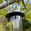 Selections Hanging Bird Seed Feeders (Set of 2) 4