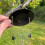 Selections Hanging Bird Seed Feeders (Set of 2) 5