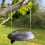 Selections Hanging Bird Seed Feeder For Selections Metal Bird Feeding Stations 6