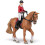 Cavallo da passeggio e la sua cavallerizza 4