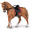 Cavallo da passeggio e la sua cavallerizza 8