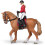 Cavallo da passeggio e la sua cavallerizza 2