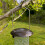 Selections Large Hanging Peanut Bird Feeder For Bird Feeding Stations 6