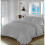 (Double , Silver ) Santiago Ruffle Frilled Duvet Cover Set 1