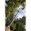 Spear & Jackson Spear & Jackson 4935TP Razorsharp Lightweight Telescopic Tree Pruner, Silver 5