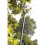 Spear & Jackson Spear & Jackson 4935TP Razorsharp Lightweight Telescopic Tree Pruner, Silver 7