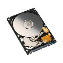 Generic 320GB 320 gb 2.5 inch Sata Hard drive 5400 RPM for Laptop/Mac/PS3 -1 Year Warranty