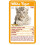 Top Trumps Top Trumps Baby Animals Card Game 4
