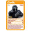Top Trumps Top Trumps Baby Animals Card Game 2