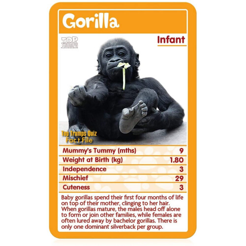 Top Trumps Top Trumps Baby Animals Card Game 1