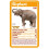 Top Trumps Top Trumps Baby Animals Card Game 3