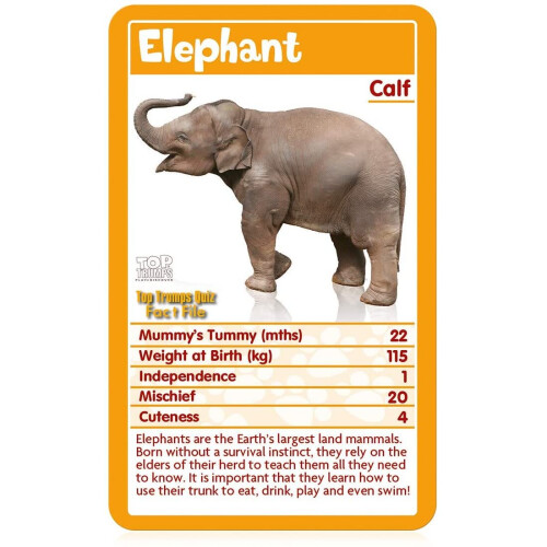 Top Trumps Top Trumps Baby Animals Card Game 2