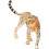Schleich Schleich 14746 Cheetah, Female 4