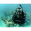 Cressi Cressi AC2 / Compact - Scuba Diving Regulator High Quality 6