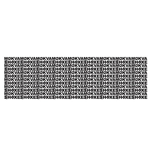 Plus Japan Guard-Your-ID Camouflage Self Inking Roller Stamp & Refill Pack, Assorted colour 2