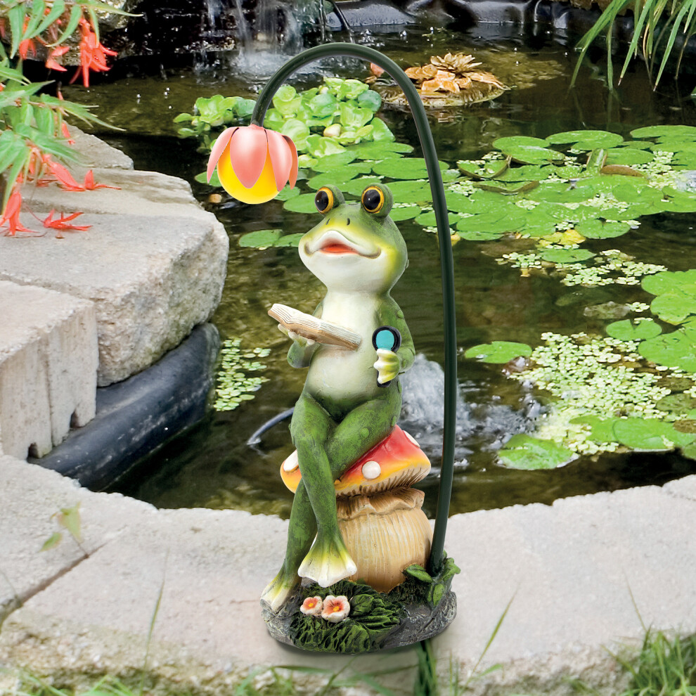 GardenKraft 10949 Solar Light-Up Reading Frog / Colourful Charming Garden Ornament / Warm White Solar Powered LED Light / Sturdy Polyresin Material