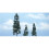 5.12 x 2.62 x 3.5 in. Juniper 1