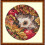 Apples Autumn Hedgehog Counted Cross Stitch Kit - 16 Count 1