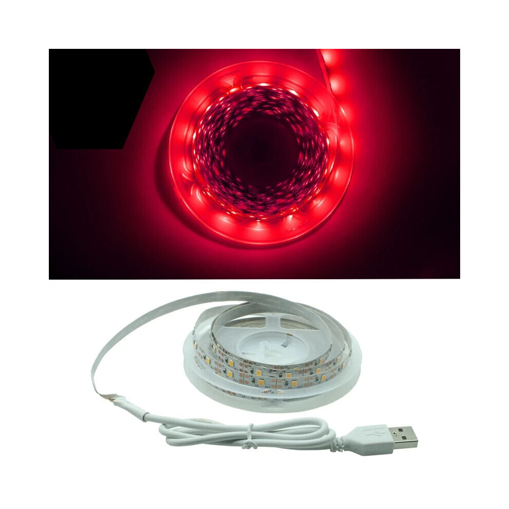 (Only Red, 5M) LED Flexible Strip Light Diode SMD 2835 Lamp-image-OPC-P92FN68-NEW