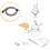 Oase PondoVac Start/Classic Outlet Hose 2