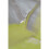 PEBEO 200 ml XL Studio Fine Oil, Bright Yellow 6