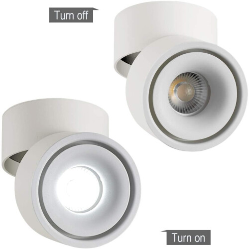 10W LED Ceiling spotlights Adjustable lamp body angle, white 1